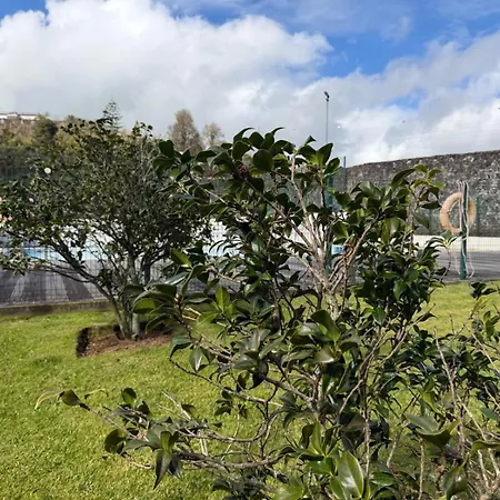Azores Lava T3